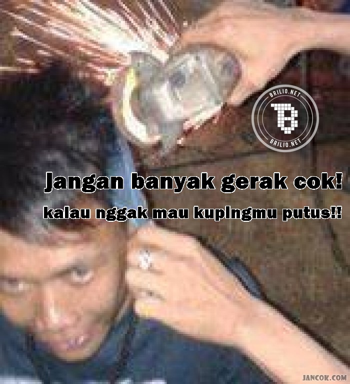 meme rambut  © 2016 brilio.net