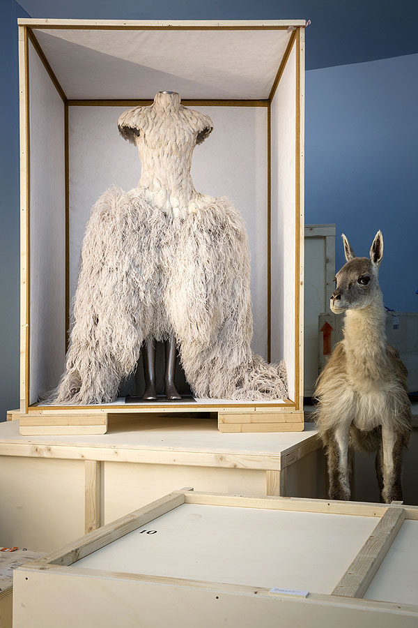 Prodfas © 2016 brilio.net