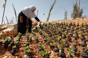 10 Foto menyentuh wanita Palestina tanam bunga di bekas bom
