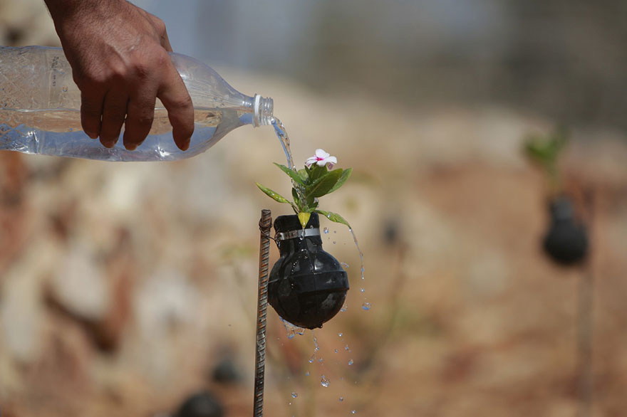 10 Foto menyentuh wanita Palestina tanam bunga di bekas bom