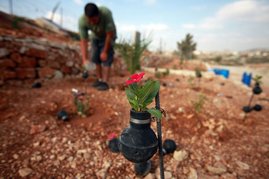 Ibu Palestina2 © 2016 brilio.net Ibu Palestina2 © 2016 brilio.net