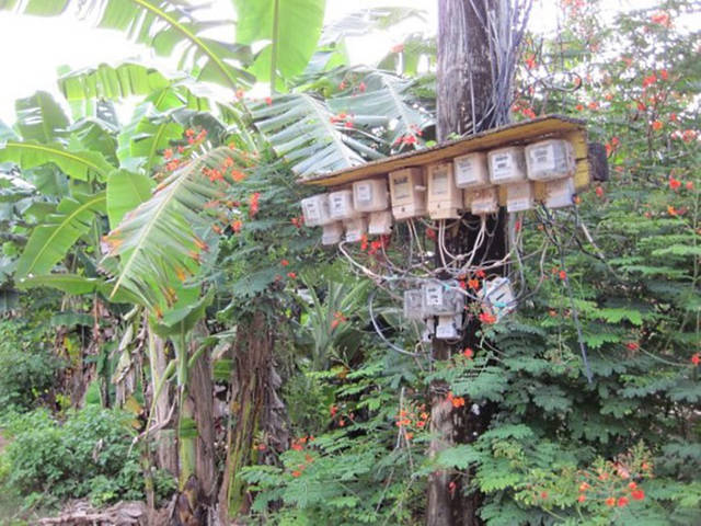 Kates Thailand © 2016 brilio.net