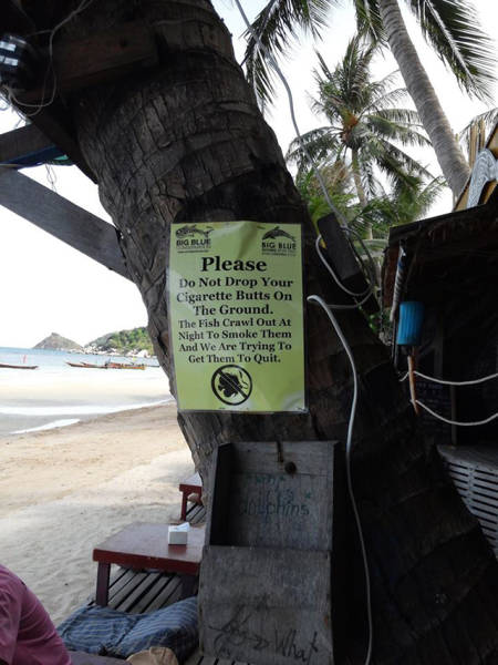 Kates Thailand © 2016 brilio.net