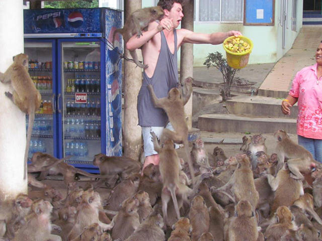 Kates Thailand © 2016 brilio.net