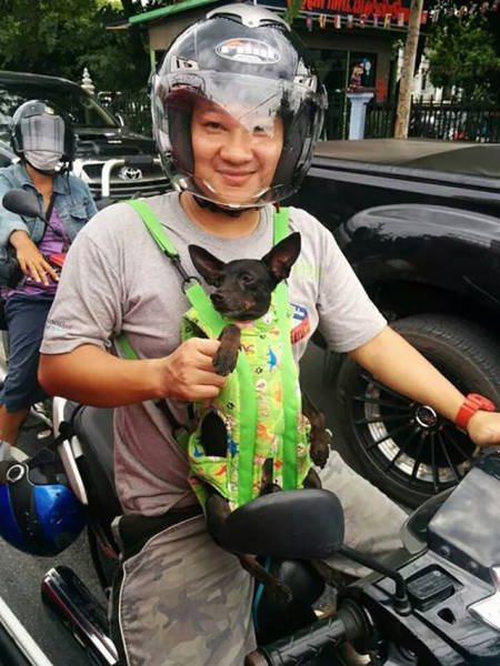 Kates Thailand © 2016 brilio.net