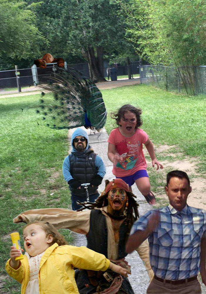 dikejar burung merak 1-16 © 2016 brilio.net