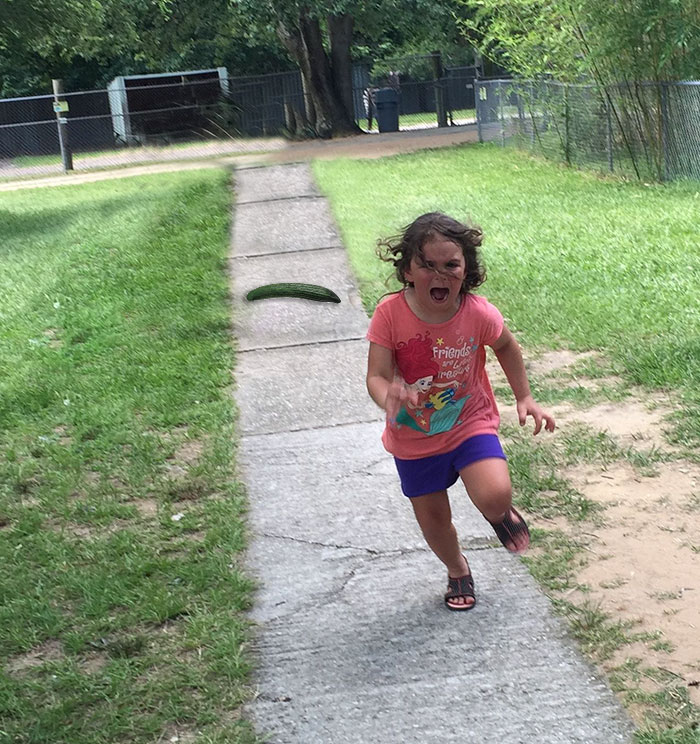 dikejar burung merak 1-16 © 2016 brilio.net