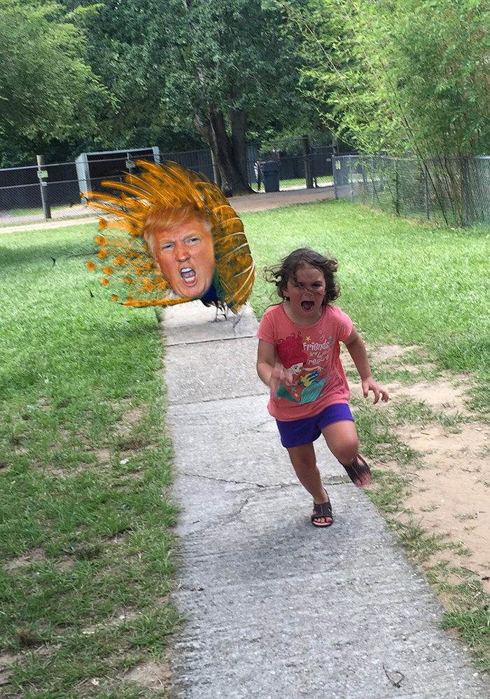 dikejar burung merak 1-16 © 2016 brilio.net