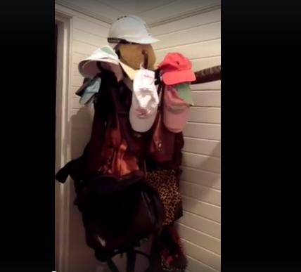 Phyton Australi © 2016 brilio.net