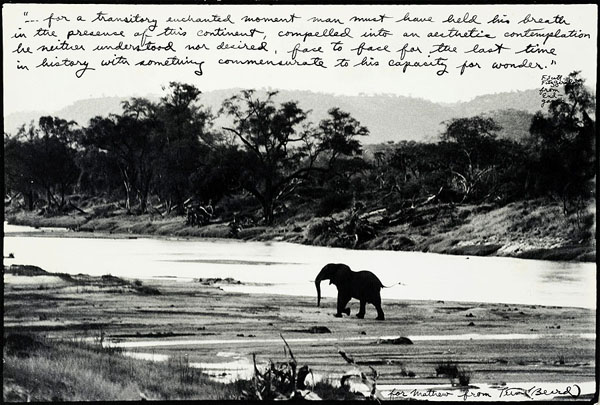 12 Foto menakjubkan alam liar Afrika era 1960an, langka nih!