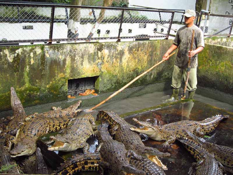 wisata di medan 1-10 © 2016 brilio.net wisata di medan 1-10 © 2016 brilio.net