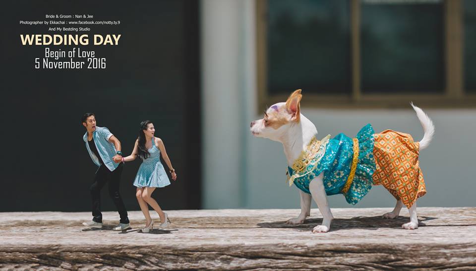 WEDDING KURCACI © 2016 brilio.net WEDDING KURCACI © 2016 brilio.net