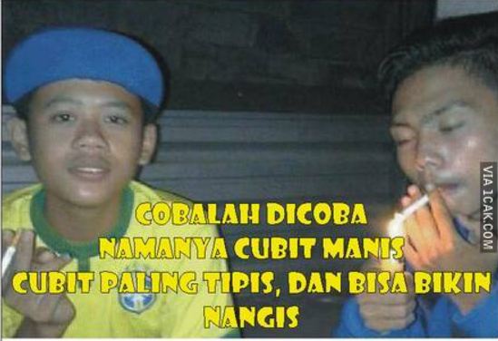 meme dicubit guru 1-15 © 2016 brilio.net