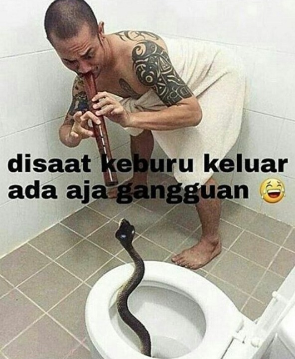 meme boker  © 2016 brilio.net