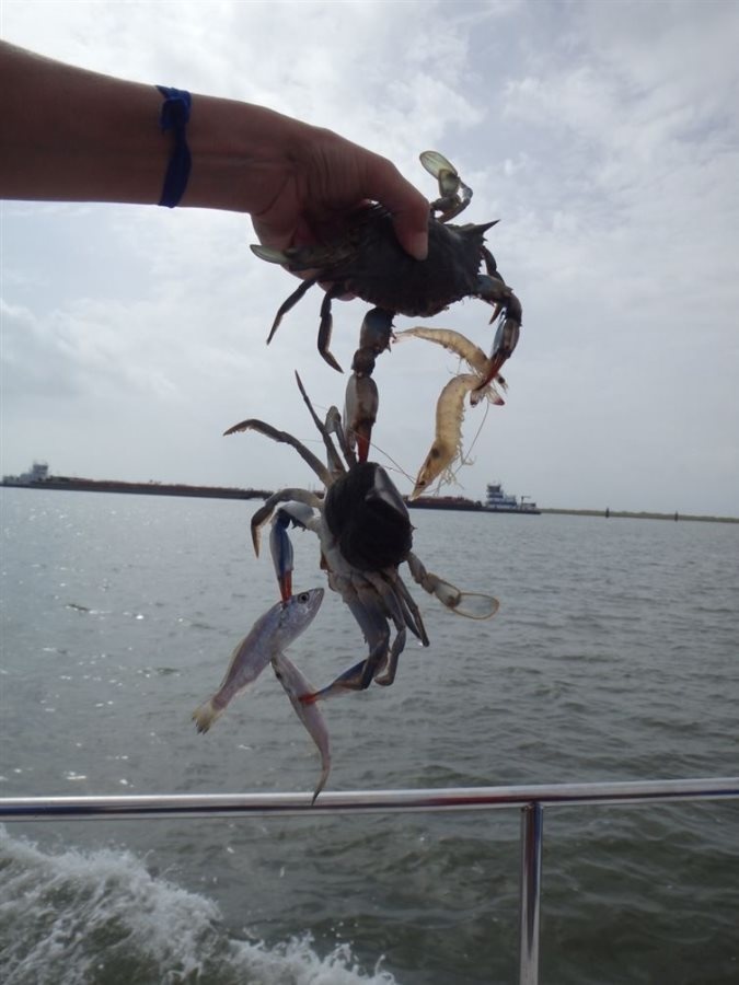 Produk gagal terlihat unik © 2016 brilio.net