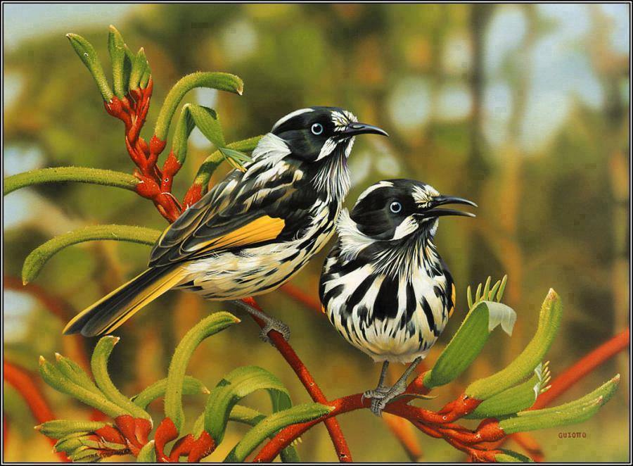 burung cantik © 2016 brilio.net