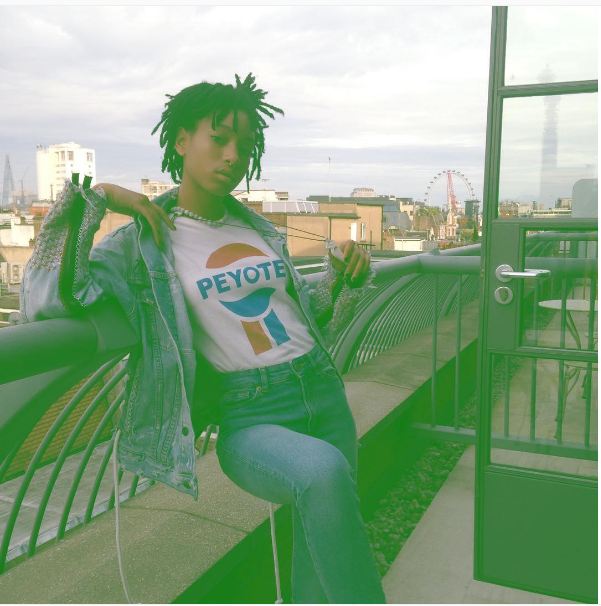 willow smith © 2016 brilio.net willow smith © 2016 brilio.net