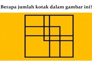 9 Dari 10 orang gagal menebak jumlah kotak di gambar ini, kamu bisa?