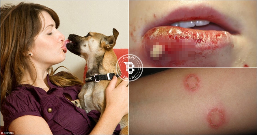 Hati-hati, asal cium anjing bisa tularkan infeksi mematikan!