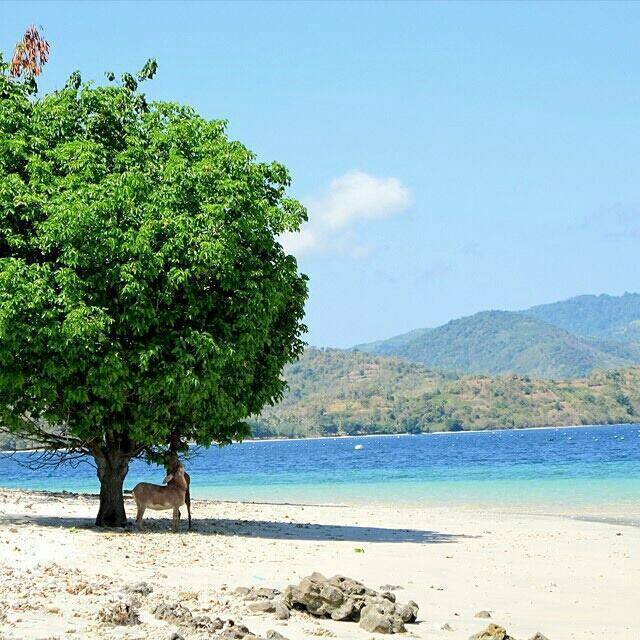 Gili di Lombok © 2016 brilio.net