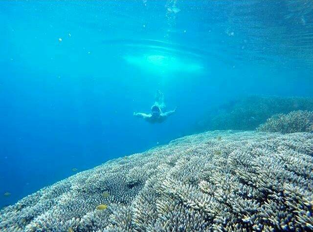 Gili di Lombok © 2016 brilio.net