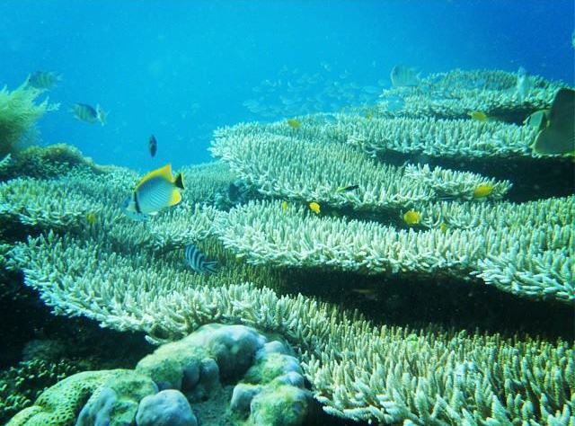 Gili di Lombok © 2016 brilio.net