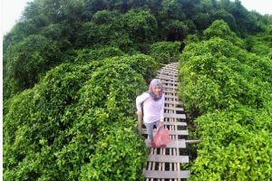 15 Foto liburan di Hutan Mangrove Kulonprogo, tempat hits baru Jogja