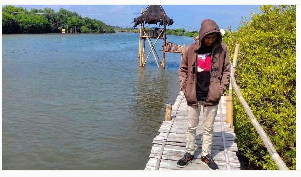 mangrove kulonprogo © 2016 brilio.net