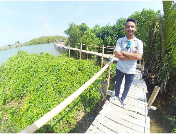 mangrove kulonprogo © 2016 brilio.net