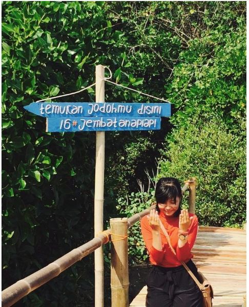 mangrove kulonprogo © 2016 brilio.net