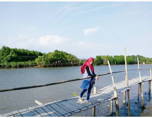 mangrove kulonprogo © 2016 brilio.net