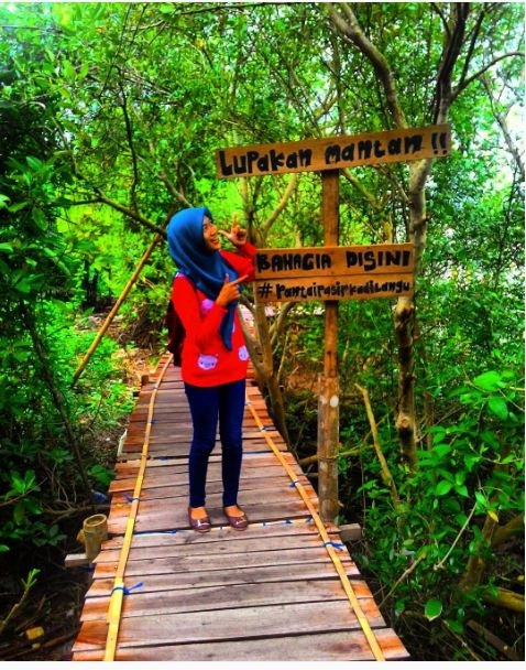 mangrove kulonprogo © 2016 brilio.net