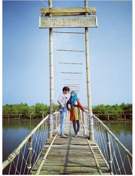 mangrove kulonprogo © 2016 brilio.net