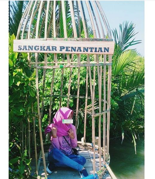 mangrove kulonprogo © 2016 brilio.net