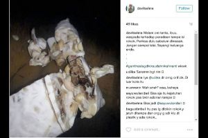 Mau makan tempe, gadis ini dapat bonus rokok, duh! 