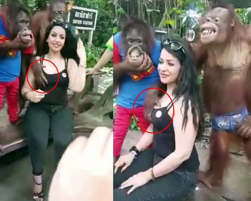 Aksi orangutan foto bareng pengunjung wanita ini bikin heboh, jahil!