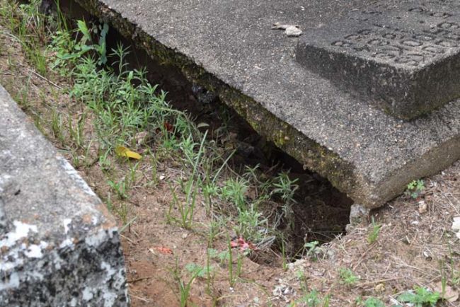 Kuburan Alabama © 2016 brilio.net / Reddit