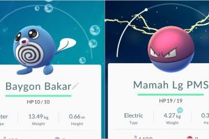 10 Nama editan Pokemon ini bikin ngakak, ada-ada aja ulah gamer