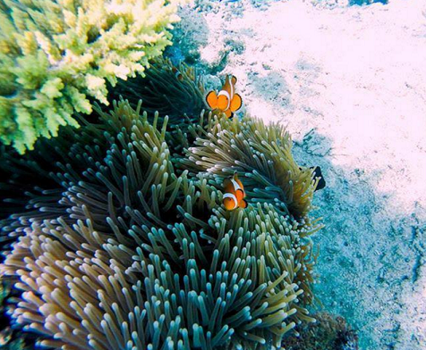 pulau filipina © 2016 brilio.net