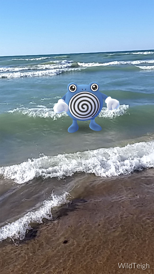 Momen Pokemon Go © 2016 brilio.net / Reddit