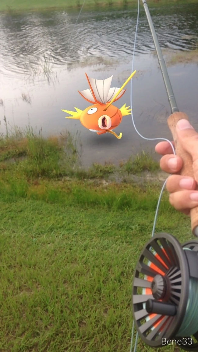 Momen Pokemon Go © 2016 brilio.net / Reddit