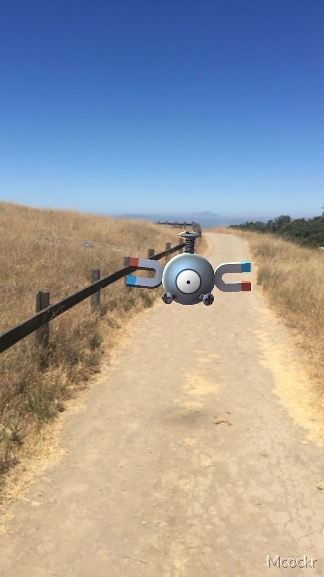 Momen Pokemon Go © 2016 brilio.net / Reddit