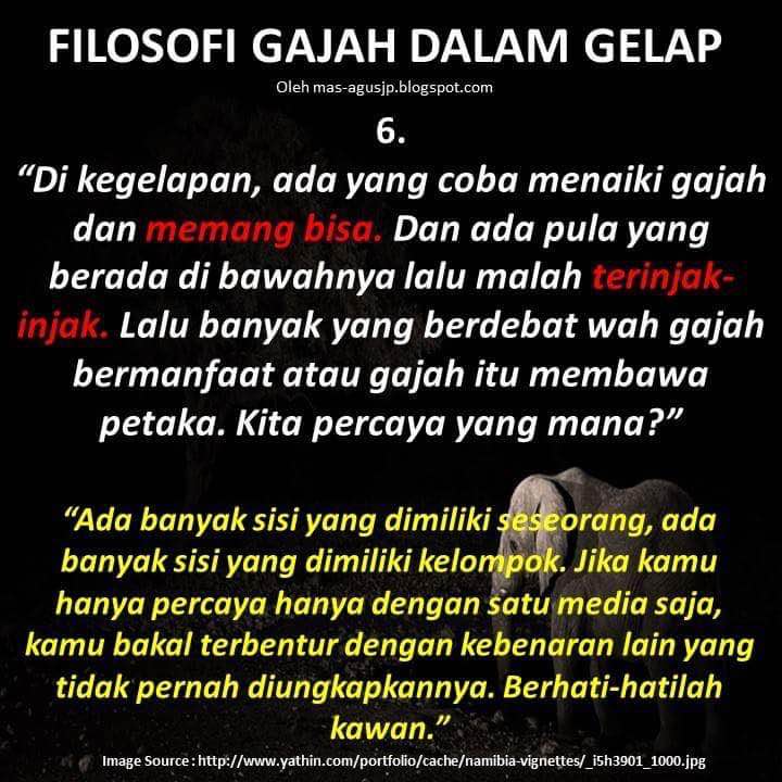 gajah © 2016 brilio.net