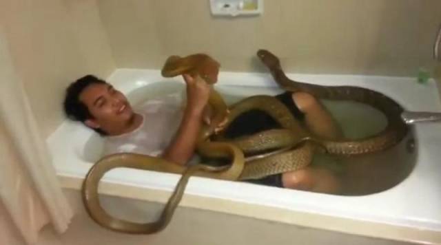 22 Mandi antimainstream © 2016 brilio.net