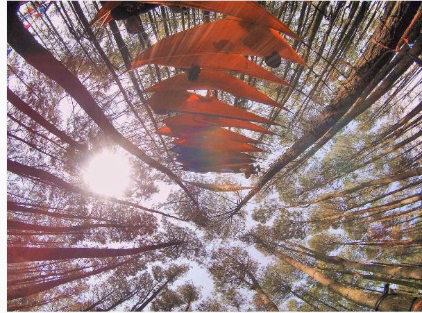 15 foto hammock © 2016 brilio.net 15 foto hammock © 2016 brilio.net