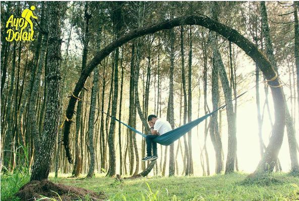 15 foto hammock © 2016 brilio.net 15 foto hammock © 2016 brilio.net