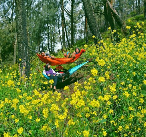 15 foto hammock © 2016 brilio.net 15 foto hammock © 2016 brilio.net