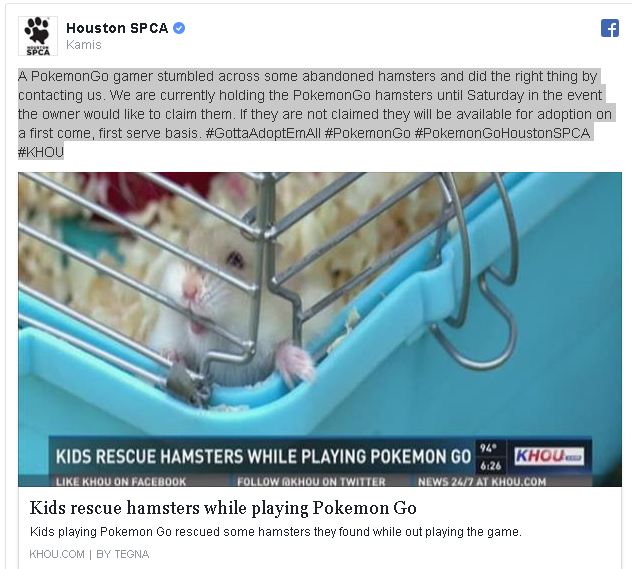 Berkat Pokemon Go, dua remaja ini bisa selamatkan 27 hewan terlantar