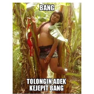 Bang Tolongin Adek © 2016 brilio.net