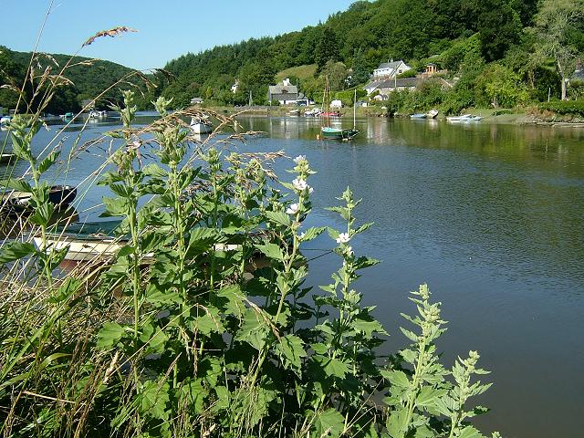 fakta marshmallow © 2016 brilio.net fakta marshmallow © 2016 brilio.net